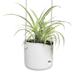 b.for swing 18cm wit